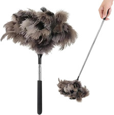 Spolverino Telescopico Con