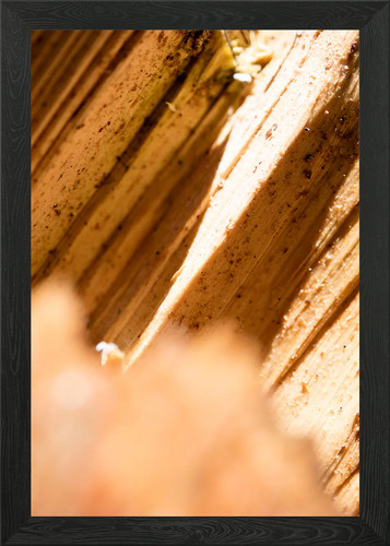 Quadro stampa tela poster - quadro,