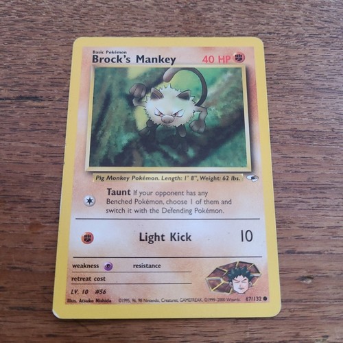 Brock mankey 132 gym - brock's,