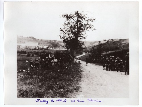 1918 divisione 16 - 1918, 16°