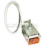 019881 TERMOSTATO C20149