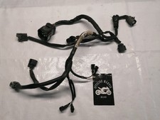 Cablaggio Impianto Corpo Farfallato Honda Dn-01 08-12