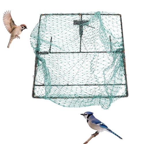 Reti per uccelli trappole
