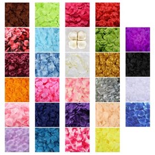 1000 Pezzi Petali di Rosa in