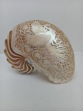 Conchiglia Nautilus intagliata