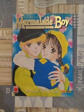 Marmalade Boy Illustration