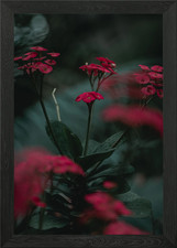 Poster arte da parete con