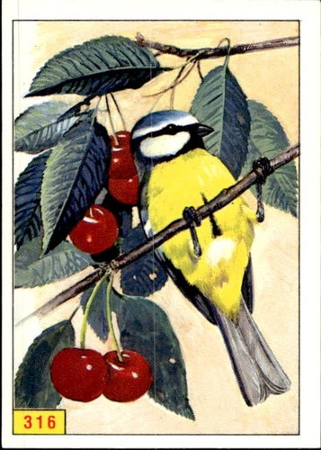 Figurina uccelli panini - figurina,
