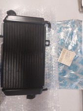 Radiatore Piaggio Hexagon
