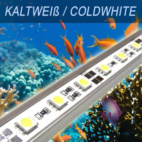 Acquario illuminazione led - acquario,