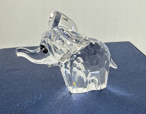 Elefante bambino piccolo