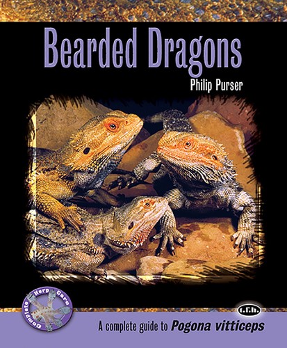 Bearded dragons complete - dragons:,