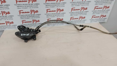 Coppia pinze anteriori - , benelli