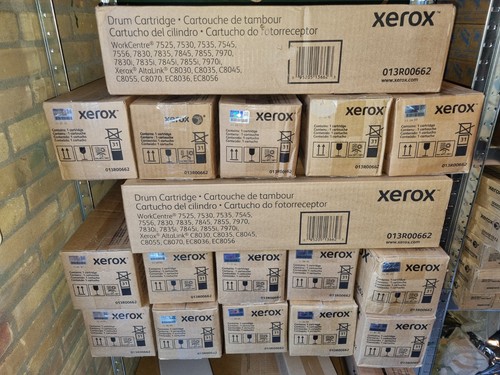 Xerox 013r00662 unità - 1x,