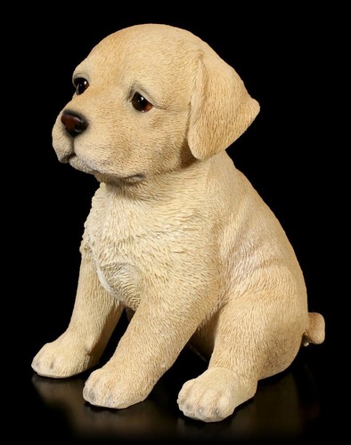 Cani cuccioli figura - cani,