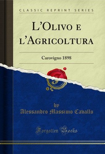 Olivo l agricoltura - l'olivo, e
