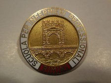 distintivo scuola infermieristica professionale Rimini
