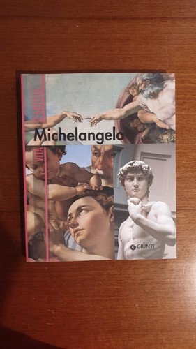 Michelangelo vita artista - michelangelo,