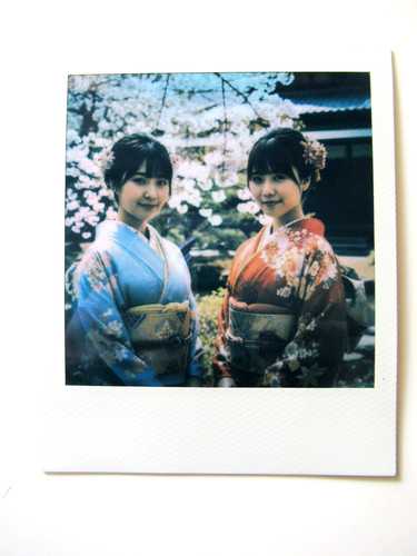 Araki foto polaroid - foto,