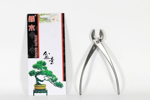 Tronchese bonsai taglio
