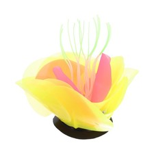  Arredo Acquario Pianta Piante