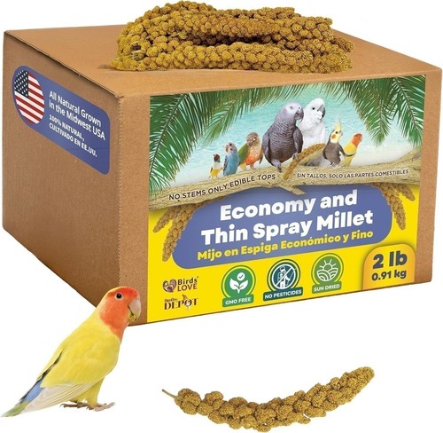 Birds love economy thin - love,