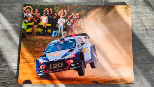 Wrc champion 2024 - wrc,