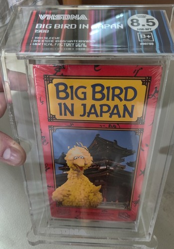 Big bird japan - japan, dna