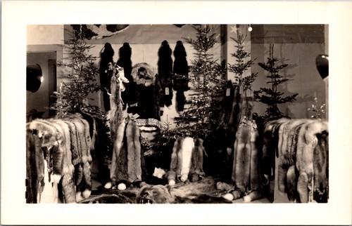 Pellicce alaska mostra - in,