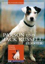 Parson und Jack Russel