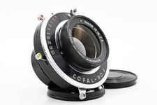 Schneider pollici dagor - 14,