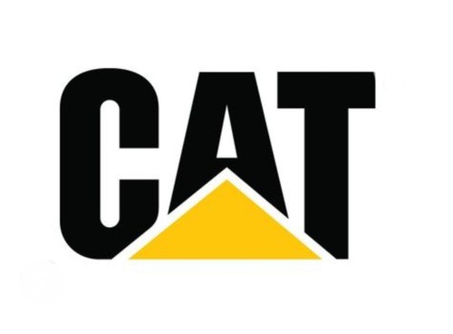 Caterpillar cat coppia - caterpillar,