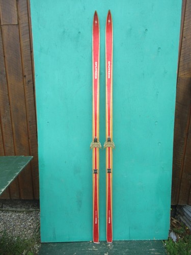 Vecchi sci neve - da,