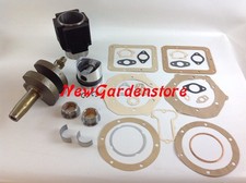 Kit revisione cilindro - , pistone