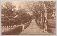 Cartolina Southern Pines NC