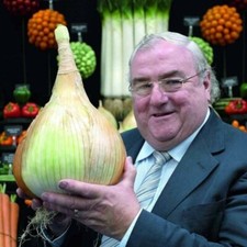 CIPOLLA GIGANTE, 50 SEMI  SELEZIONATI + OMAGGIO