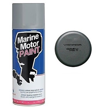 Vernice spray bomboletta - vernice,