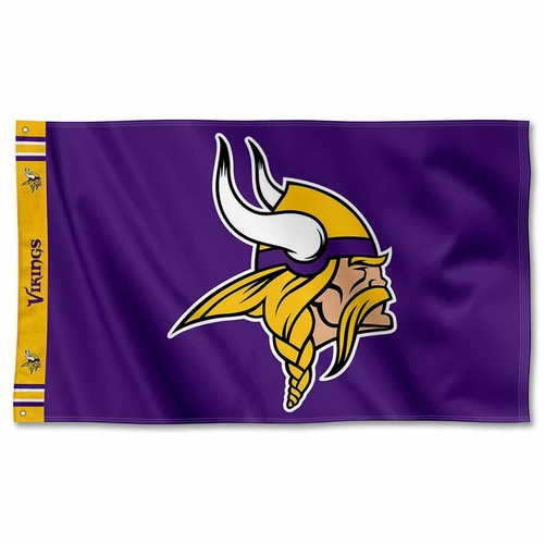 Minnesota vikings intestazione - vikings,