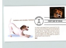 Parson JACK RUSSEL TERRIER DOG