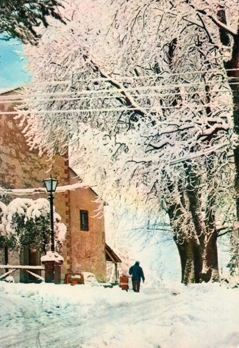 Cartolina cutigliano pistoia - cartolina,