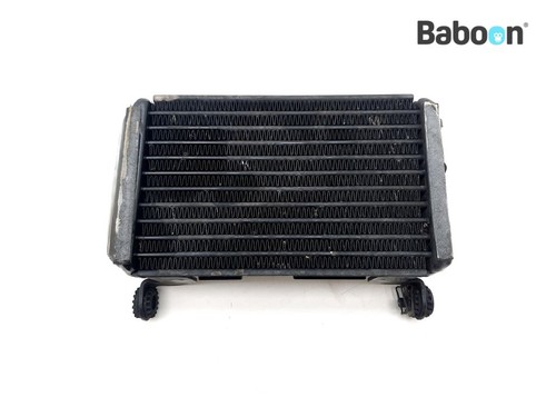 Radiatore dell olio ducati - radiatore,
