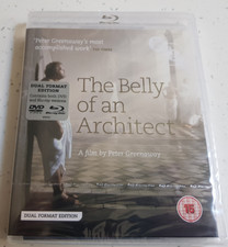 The Belly of an Architect