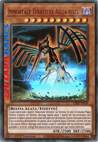 Immortale terrestre aslla - terrestre,