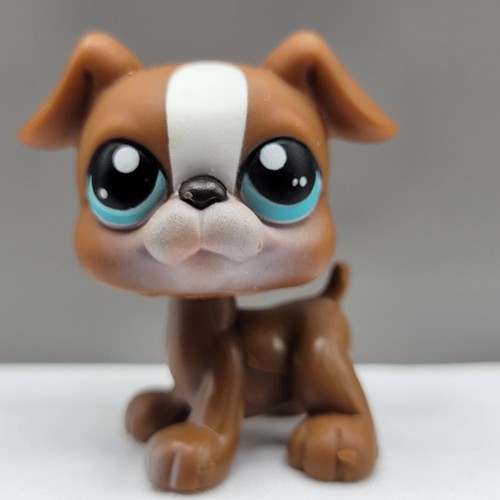 Littlest pet shop boxer - shop,