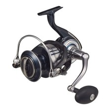 Daiwa Spinning Mulinello 21