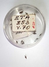 Nos [ 1X = 1 Staff ] for Eta