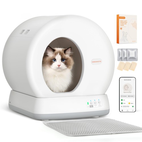 Lettiera gatto autopulente - lettiera,