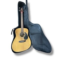 Chitarra acustica Takamine G240 con custodia per il trasporto gig