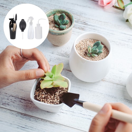 Kit attrezzi per bonsai set - di,