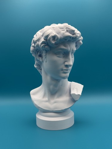 Busto art furenze david - busto,